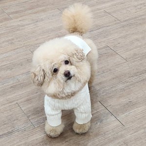 베스트 후기 이미지