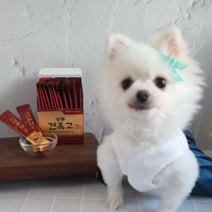 베스트 후기 이미지