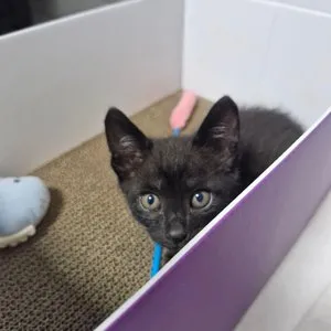 베스트 후기 이미지