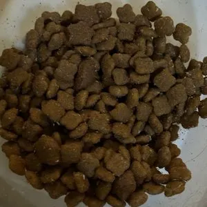 베스트 후기 이미지