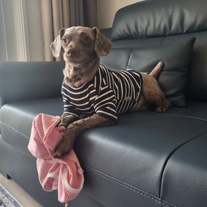 베스트 후기 이미지