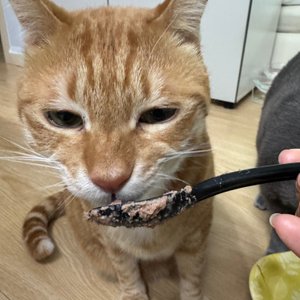 베스트 후기 이미지