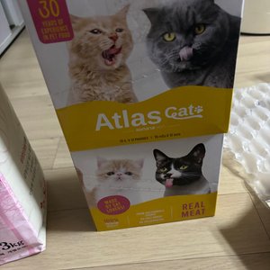 베스트 후기 이미지