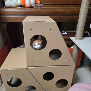 베스트 후기 이미지