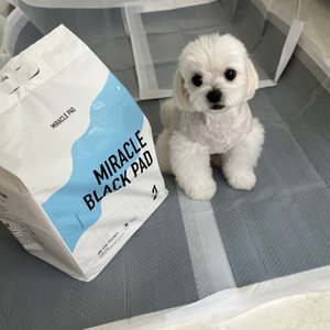 베스트 후기 이미지