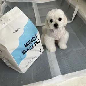 베스트 후기 이미지