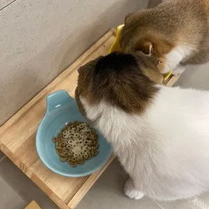 베스트 후기 이미지