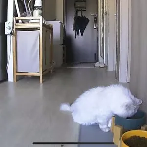 베스트 후기 이미지