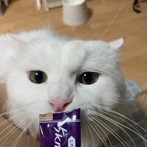 베스트 후기 이미지