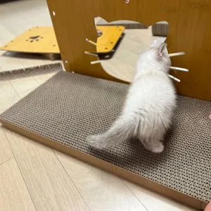 베스트 후기 이미지