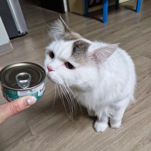 베스트 후기 이미지
