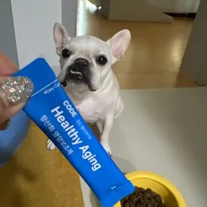 베스트 후기 이미지