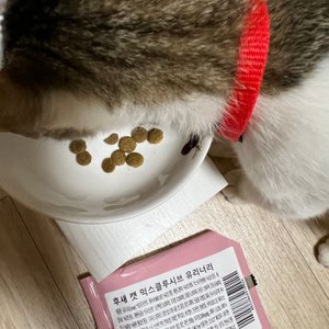 베스트 후기 이미지