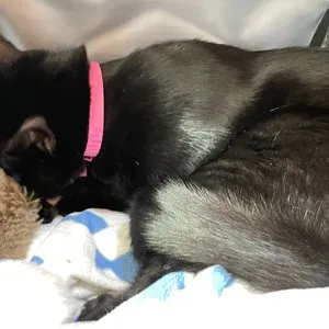 베스트 후기 이미지