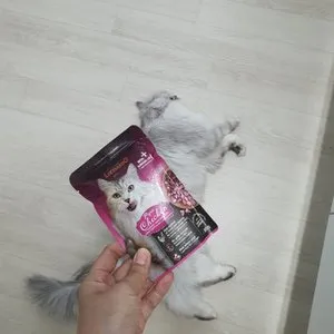 베스트 후기 이미지