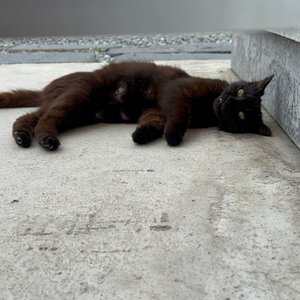 베스트 후기 이미지