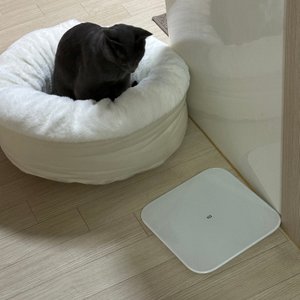 베스트 후기 이미지