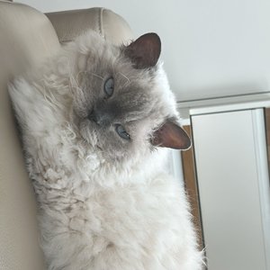 베스트 후기 이미지
