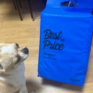 베스트 후기 이미지