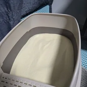 베스트 후기 이미지