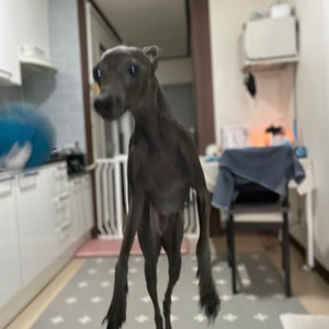 베스트 후기 이미지