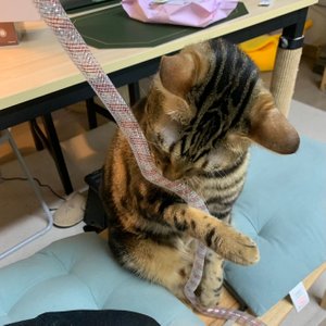 베스트 후기 이미지