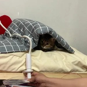 베스트 후기 이미지