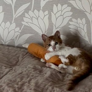 베스트 후기 이미지