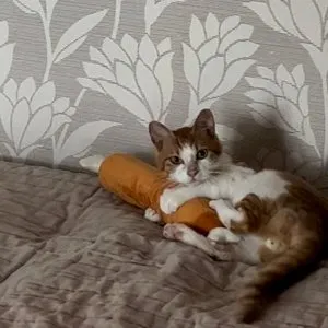 베스트 후기 이미지