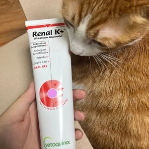 베토퀴놀 레날K 142g 베스트 후기 이미지