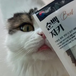 베스트 후기 이미지