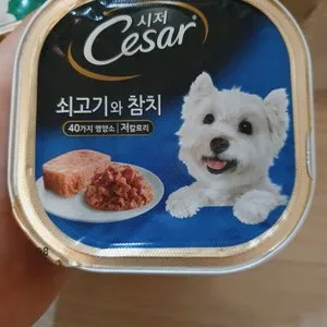 베스트 후기 이미지