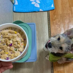 베스트 후기 이미지