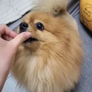 베스트 후기 이미지