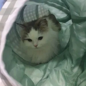 베스트 후기 이미지