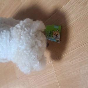 [창고대방출] 브리더랩 독 한입에쿵 혼합 20g 베스트 후기 이미지