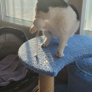 베스트 후기 이미지