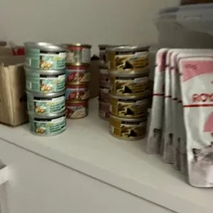 베스트 후기 이미지