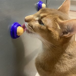 베스트 후기 이미지