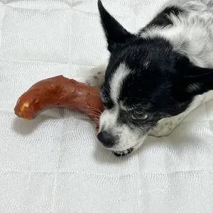 베스트 후기 이미지