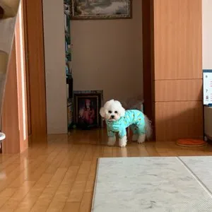 베스트 후기 이미지