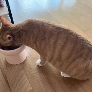 베스트 후기 이미지