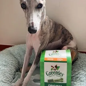 베스트 후기 이미지