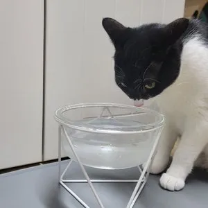 베스트 후기 이미지