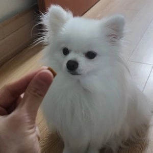 고기없이 맛있는 진짜채소 단호박&유산균 180g  베스트 후기 이미지