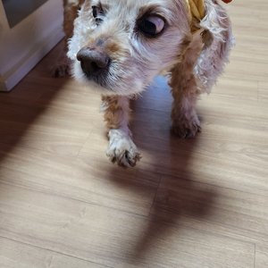 베스트 후기 이미지