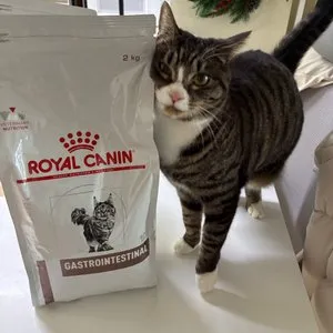 베스트 후기 이미지