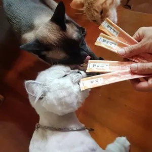 베스트 후기 이미지