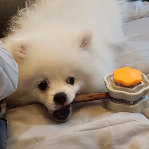 베스트 후기 이미지