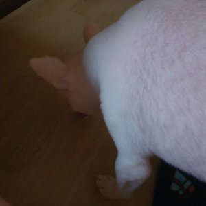 베스트 후기 이미지